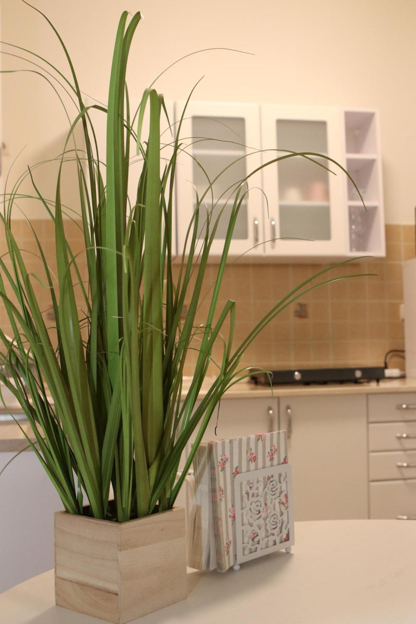 Liliom Apartman Gödöllő Esterno foto