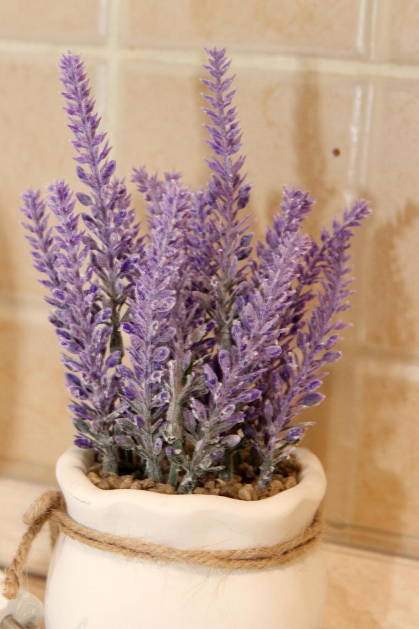 Liliom Apartman Gödöllő Esterno foto